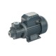 Поверхностный вихревой насос QB 80 (750Вт, Hmax-50м, Qmax-45 л/мин, корпус-чугун, вихревого типа)