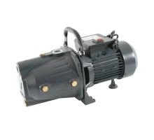 Поверхностный насос JET 80 L садовый (600 Вт, Hmax-38м, Qmax-50 л/мин, корпус-чугун,  раб. колесо-латунь, с ручкой и кнопкой включения)