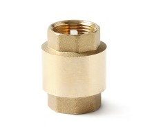 Обратный клапан с пластиковым диском, В-В   1/2   PROAQUA